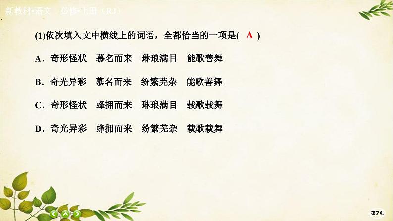 统编版高中语文必修上册课时作业(三)百合花　哦，香雪课件07