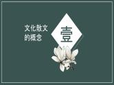 2024届高考专题复习：散文专题复习之文化散文 课件