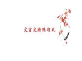 2024届高考专题复习：文言文特殊句式 课件