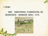 统编版高中语文必修上册 第二单元 第六课  插秧歌课件