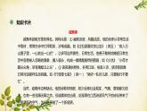统编版高中语文必修上册 第二单元 第六课  插秧歌课件