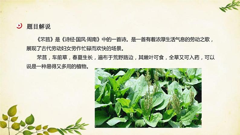 统编版高中语文必修上册 第二单元 第六课  芣  苢课件04