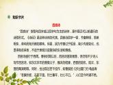 统编版高中语文必修上册 第二单元 第六课  芣  苢课件