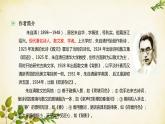 统编版高中语文必修上册 第七单元 第十四课  荷塘月色课件
