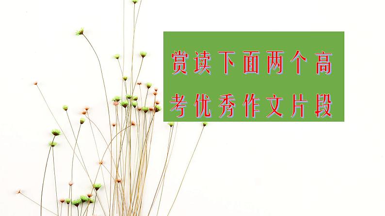 2024届高考写作指导：作文素材一材多用 课件第4页