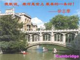 6.2《再别康桥》课件ppt 2023-2024学年统编版高中语文选择性必修下册
