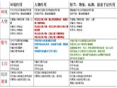 3.1《百合花》课件2023-2024学年统编版高中语文必修上册