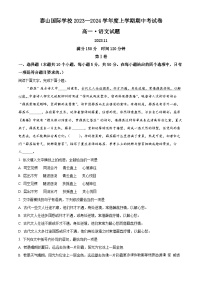 山东省泰安市泰山国际学校2023-2024学年高一上学期期中语文试题（解析版）