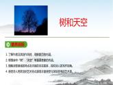 高中語文統(tǒng)編版選擇性必修中冊 第13課  樹和天空課件