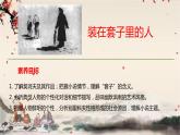 统编版高中语文必修下册 第六单元 第十三课  装在套子里的人 课件
