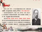 统编版高中语文必修下册 第六单元 第十三课  装在套子里的人 课件