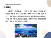 统编版高中语文必修上册 第14课  荷塘月色 同步课件