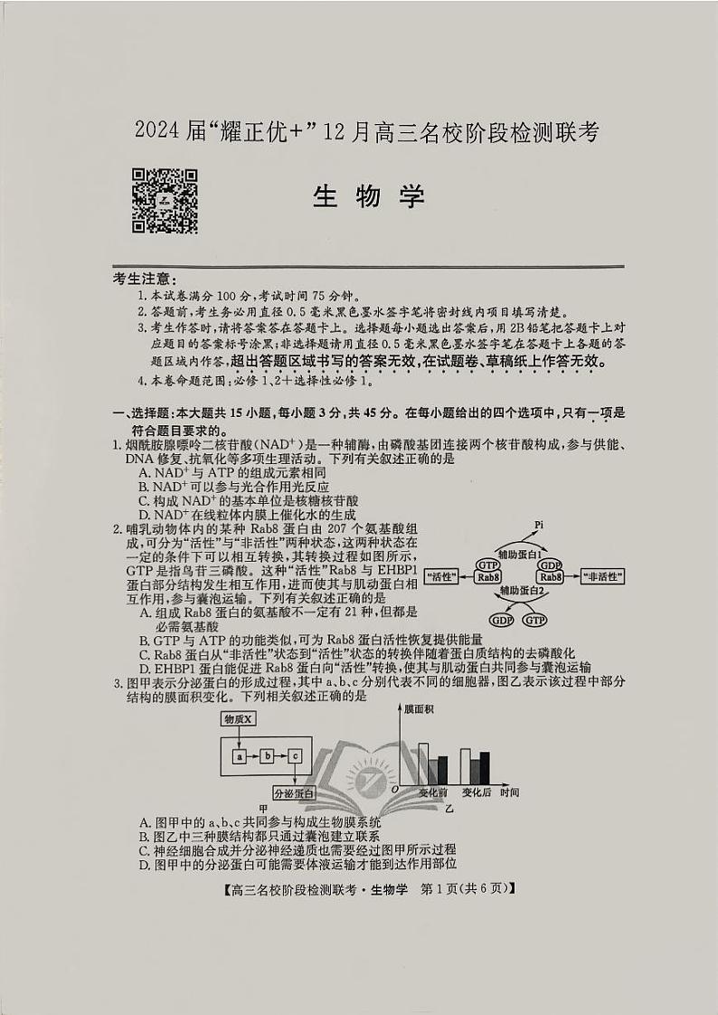 2024届“耀正优+”12月高三名校阶段检测联考生物学第1页