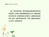 統(tǒng)編版高中語文必修下冊  第二單元單元學(xué)習(xí)任務(wù) 課件