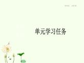 統(tǒng)編版高中語(yǔ)文必修下冊(cè) 第六單元  單元學(xué)習(xí)任務(wù) 課件