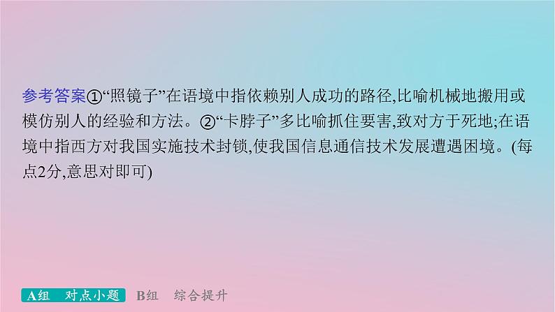 适用于新高考新教材2024版高考语文二轮复习专题6语言策略与技能突破练33语言文字运用的基础性考法课件第7页