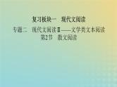 新教材适用2024版高考语文二轮总复习第1部分考点精讲复习板块1现代文阅读专题2现代文阅读Ⅱ__文学类文本阅读第2节散文阅读考点练透4分析概括内容要点课件