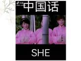 第5.1课《论语》十二章-2023-2024学年高二语文同步精讲精读课件（统编版选择性必修上册）