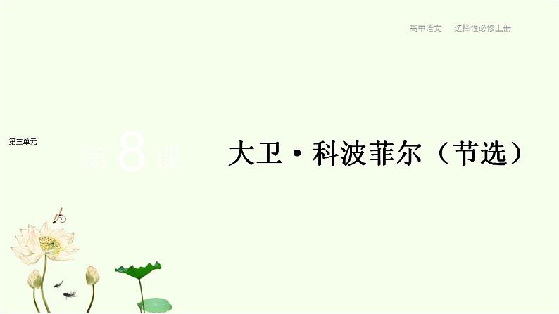 第8课  大卫·科波菲尔（节选） 课件-统编版高中语文选择性必修上册01