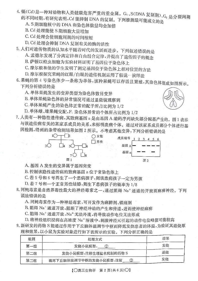 2024届甘肃省白银市靖远县高三上学期12月联考语文试卷02