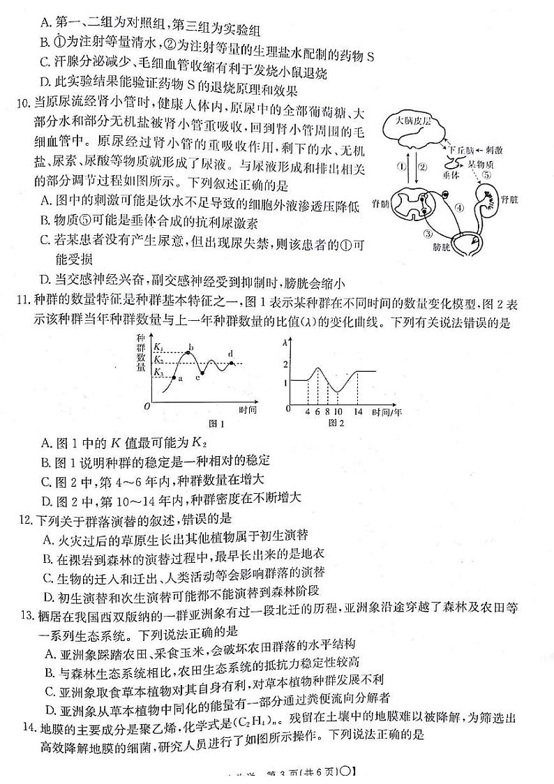 2024届甘肃省白银市靖远县高三上学期12月联考语文试卷03