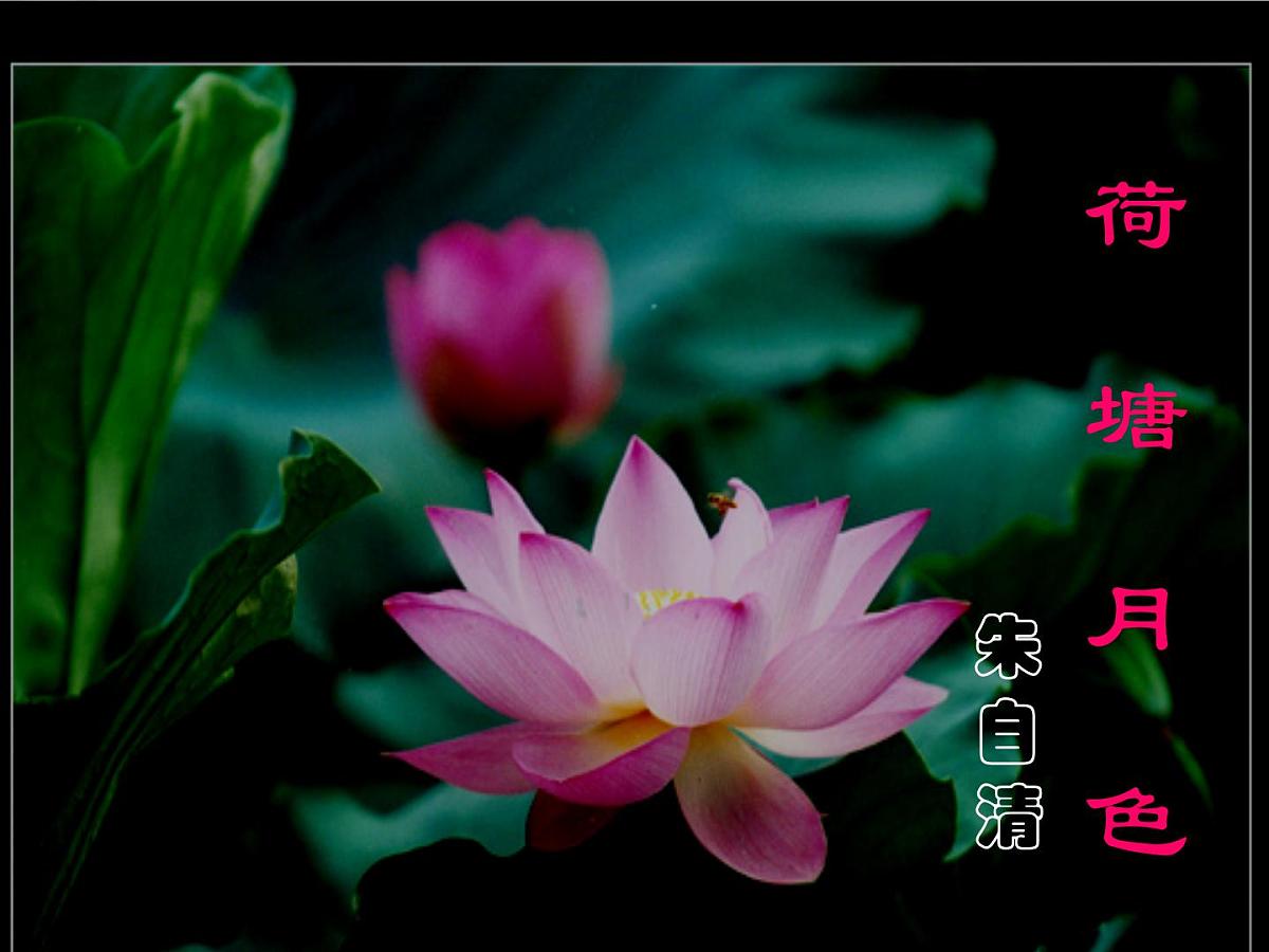 人教版高一语文上册《荷塘月色》课件第1页