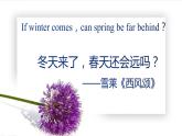 《致云雀》（隨堂課件+教學(xué)設(shè)計(jì)）-2023-2024學(xué)年高一語(yǔ)文上學(xué)期同步精品課件+教學(xué)設(shè)計(jì)（統(tǒng)編版必修上冊(cè)）