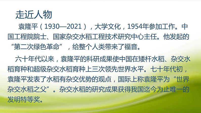 《喜看稻菽千重浪》（随堂课件+教学设计）-2023-2024学年高一语文上学期同步精品课件+教学设计（统编版必修上册）04