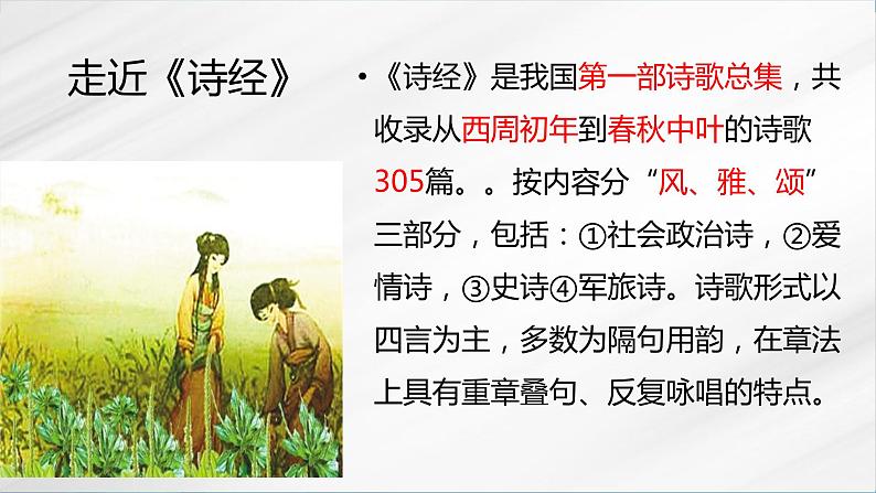 《芣苢》《插秧歌》（随堂课件+教学设计）-2023-2024学年高一语文上学期同步精品课件+教学设计（统编版必修上册）02