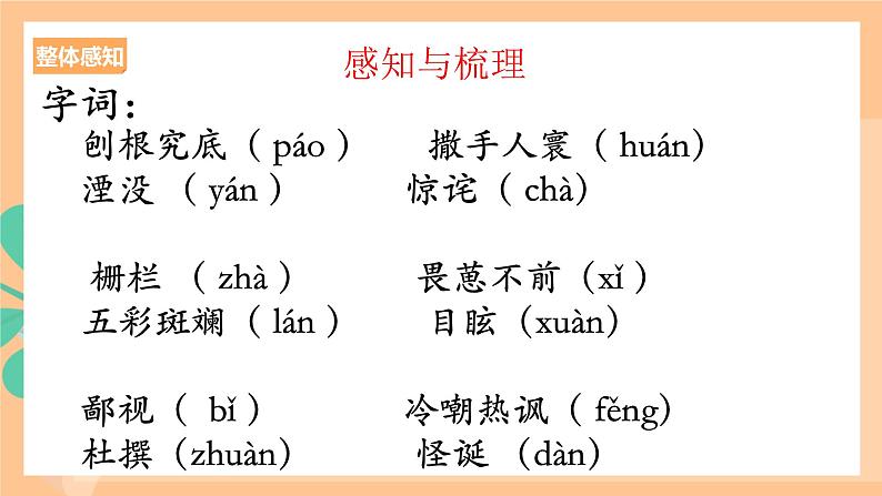 人教统编版高中语文必修下册 7.2《一名物理学家的教育历程》课件08