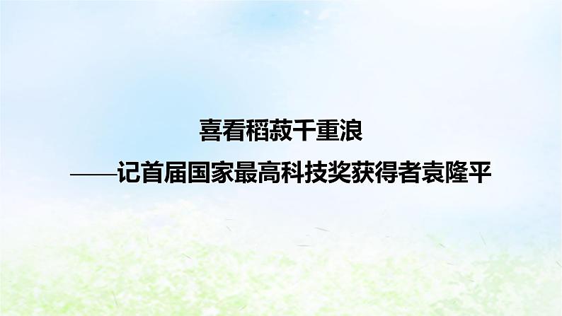 新教材2024版高中语文第二单元4.1喜看稻菽千重浪――记首届国家最高科技奖获得者袁隆平课件部编版必修上册06