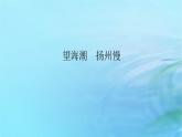 新教材2023版高中语文第一单元4望海潮扬州慢课件部编版选择性必修下册