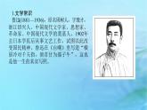 新教材2023版高中语文第二单元5.1阿Q正传节选课件部编版选择性必修下册
