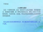 新教材2023版高中语文第二单元5.2边城节选课件部编版选择性必修下册