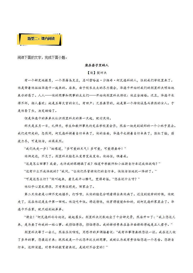 13.2《装在套子里的人》教学课件+教案+学案+分层练习+朗读视频02