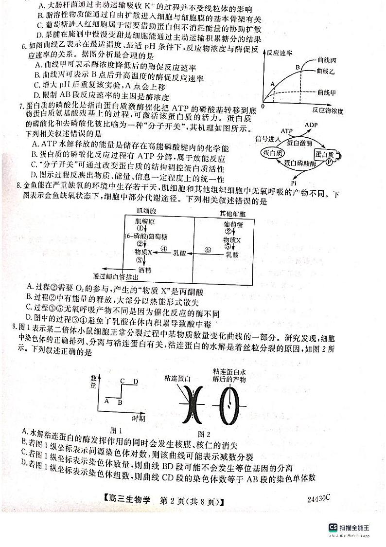 陕西省铜川市2023-2024学年高三上学期第一次模拟考试语文试卷02