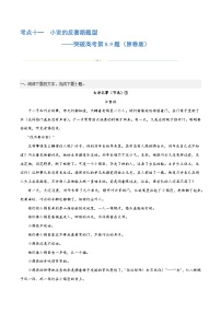 专题11+小说的反套路题型（练习）-2024年高考语文二轮复习讲练测（新教材新高考）