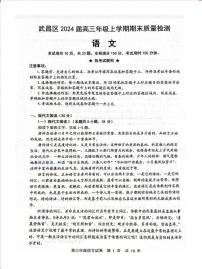 2024武汉武昌区届高三上学期元月期末调考语文试卷含答案