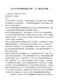2022-2023学年湖北省咸宁市高一（下）期末语文试卷（含详细答案解析）