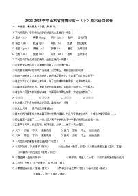 2022-2023学年山东省济南市高一（下）期末语文试卷（含详细答案解析）