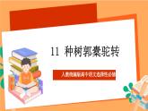 人教统编版高中语文选择性必修下册  11《种树郭橐驼传》（课件）