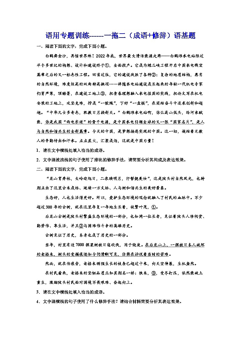 备战2024年高考语文复习专题---语用专题训练一拖二（成语+修辞）01