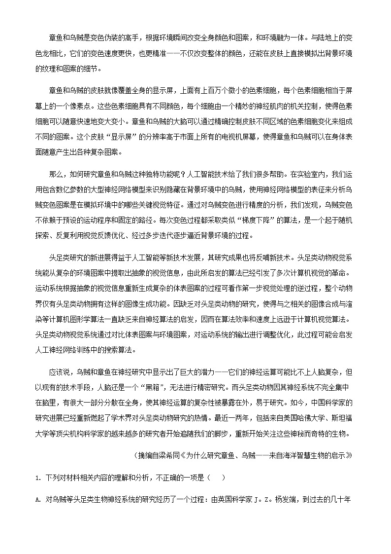 2024届黑龙江省鸡西市实验中学高三上学期11月月考语文试题含答案02
