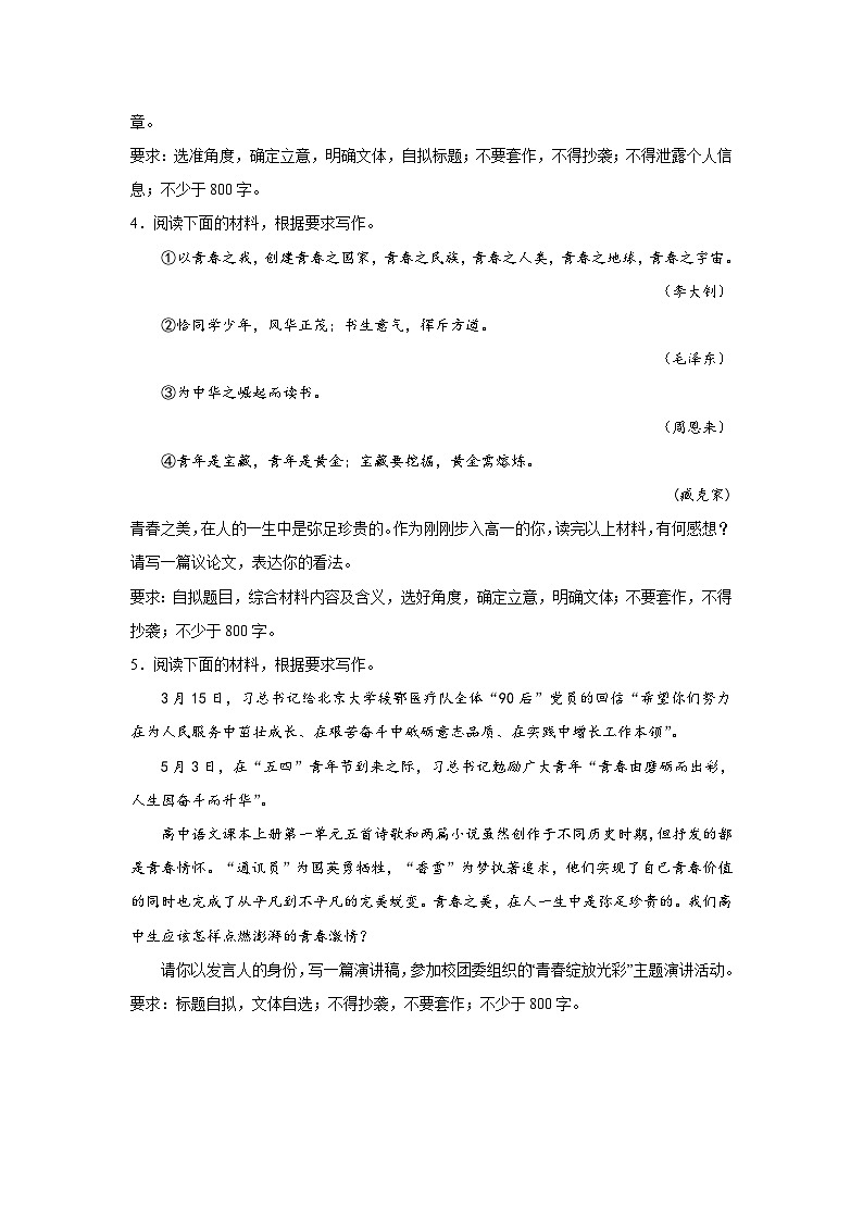 2024年高考作文复习作文主题训练：青之美，逐梦飞翔第2页