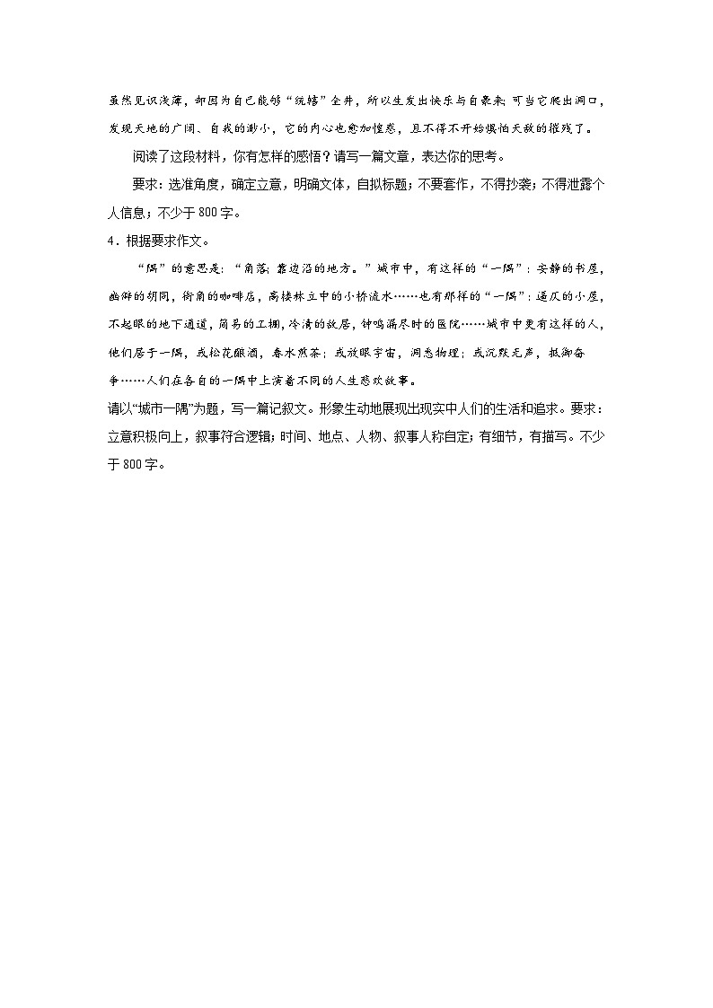 2024年高考作文主题训练：作文主题训练身在井隅，心向璀璨02