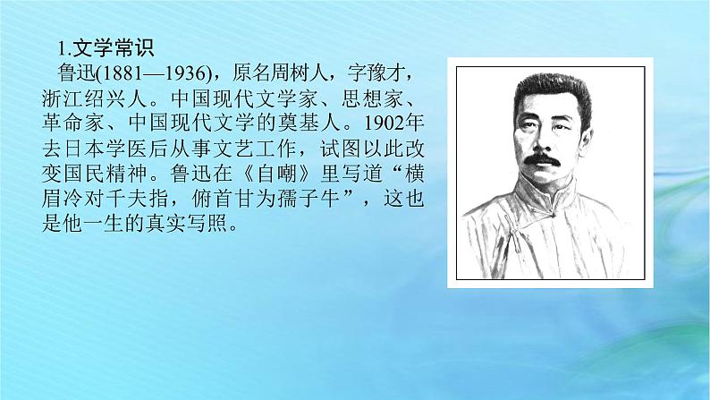 5.1《阿Q正传(节选)》课件+2023-2024学年统编版高中语文选择性必修下册第5页