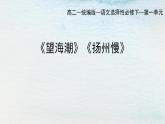 统编版 高中语文 选择性必修下册 空中课堂 第一单元 4《扬州慢》《望海潮》课件+教案