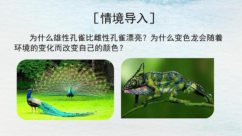 统编版 高中语文 选择性必修下册 空中课堂 第四单元13.1《自然选择的证明》课件+教案03