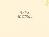 2024春高中语文第六单元13.2装在套子里的人课件（部编版必修下册）