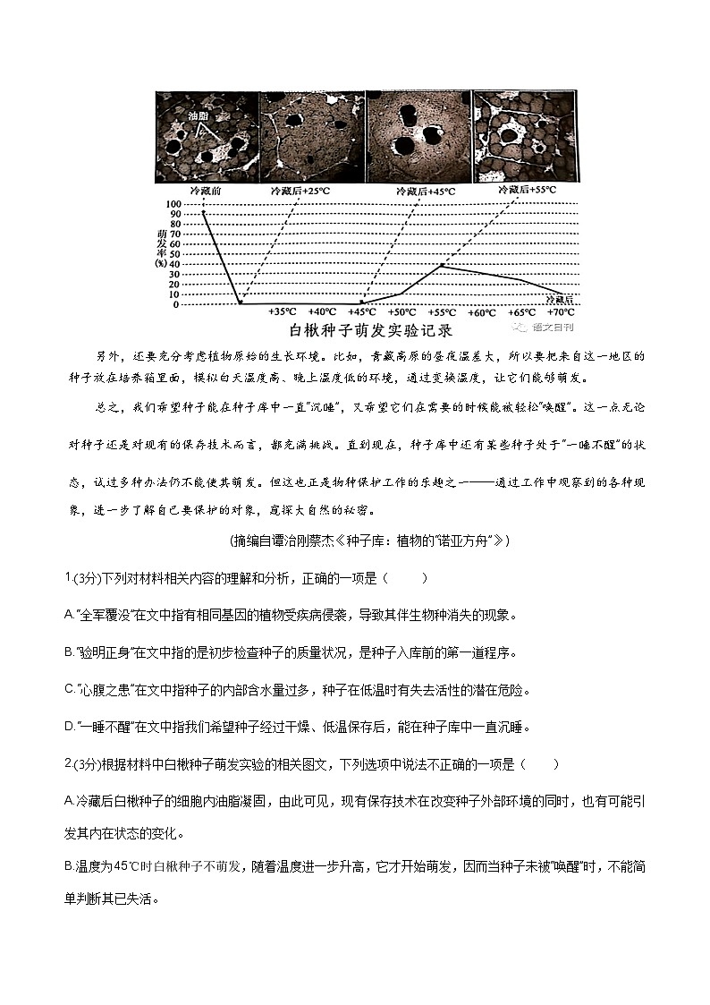 2024年高考语文考前信息必刷卷01（新高考专用）（Word版附解析）03